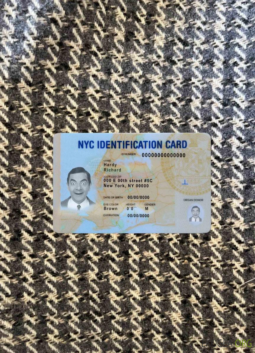 USA New York ID photolook AVANT